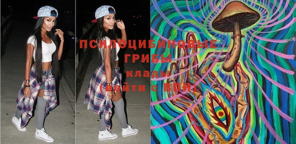 круглые Алексеевка