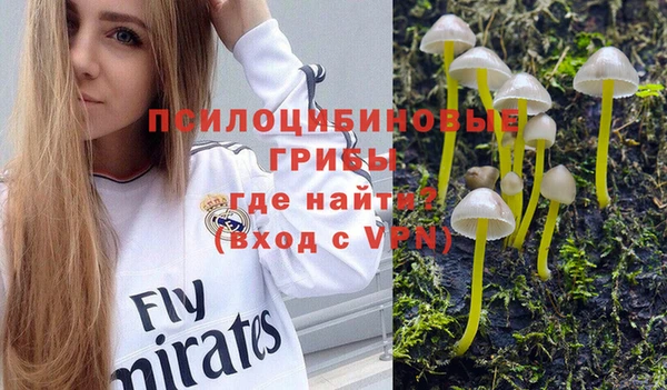 первитин Абинск