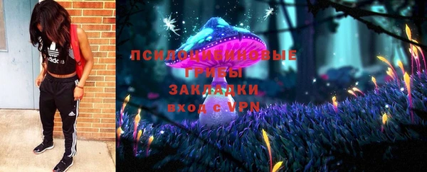дмт Алексин