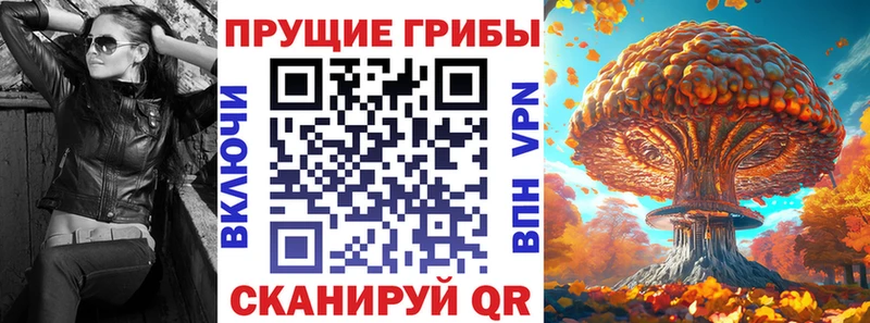Псилоцибиновые грибы MAGIC MUSHROOMS  Камень-на-Оби 
